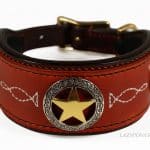 Texas Star Leather Dog Collar Lazypony