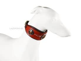 personalized leather cod collar Texas Lazypony