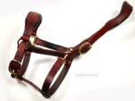 Brown leather halter classic lazypony with raised noseband