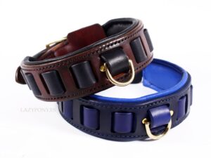 Personalized leather dog collar Aragon Lazypony, wide handmade collar