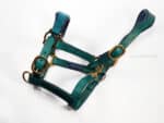 Turquoise Leather horse halter Classic Lazypony