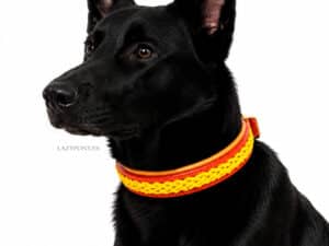 Braided leather dog collar with id tag Lorca Lazypony