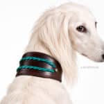 Braided greyhound collar Ronda Lazypony with Name Tag