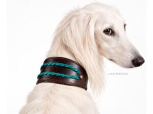 Braided greyhound collar Ronda Lazypony with Name Tag