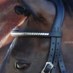 straight black clincher browband Lazypony