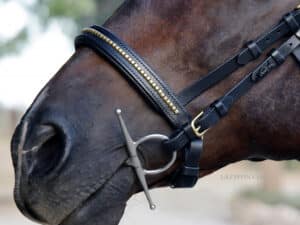 padded clincher noseband Lazypony