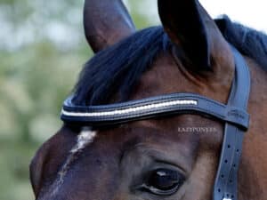 White Opal crystal browband with padding Lazypony