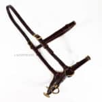 leather lunging cavesson with brass Cortesia buckles Lazypony