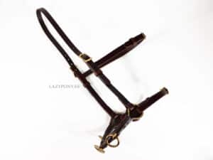 leather lunging cavesson with brass Cortesia buckles Lazypony