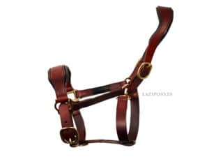 leather horse halter for sale