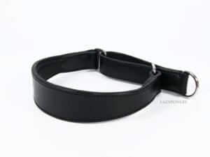 Greyhound Martingale with Name